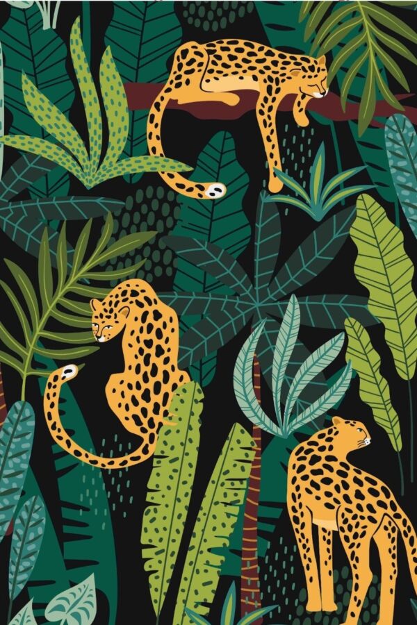 Jersey Cheetahs