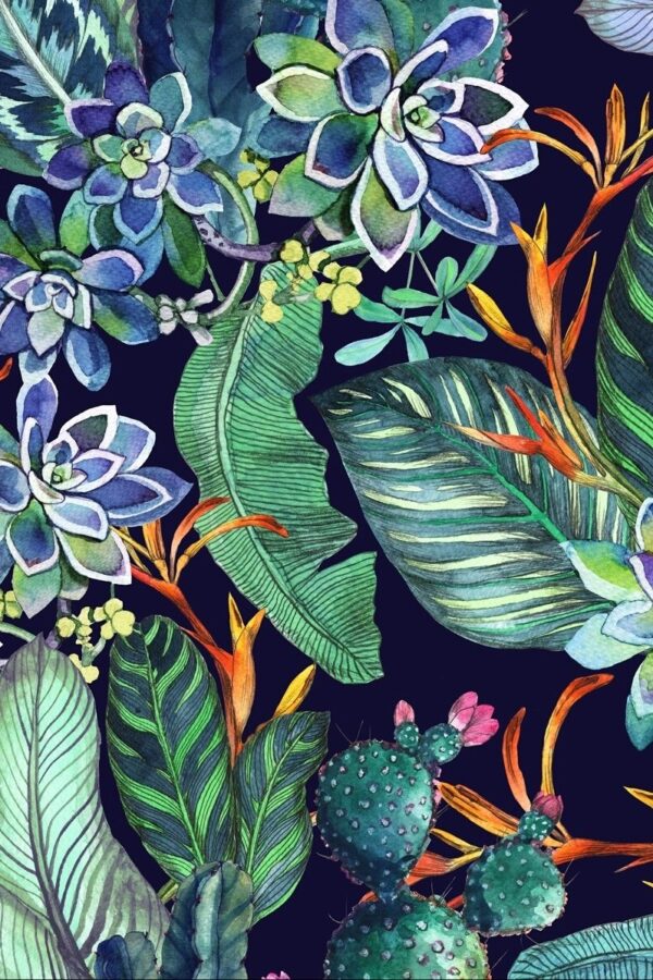 Succulents and tropical leaves