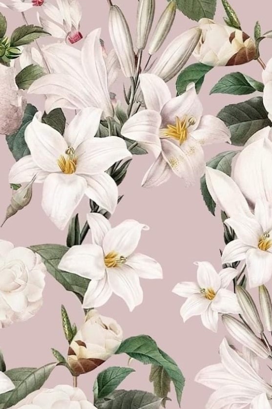 White lilies on light pink kupon 0,7 m