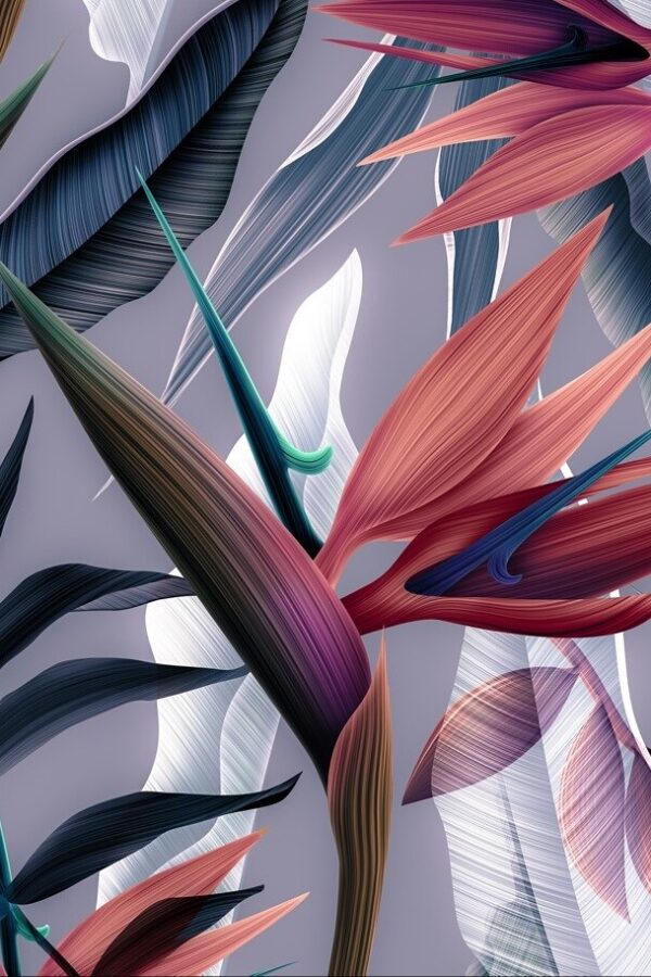 Jersey Strelitzia Royal