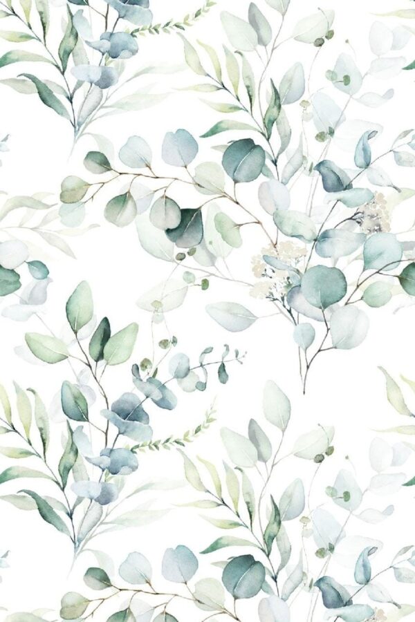 Eucalyptus on white