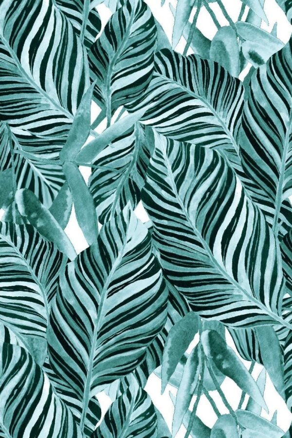 Banana leaves kupon 1,3 m