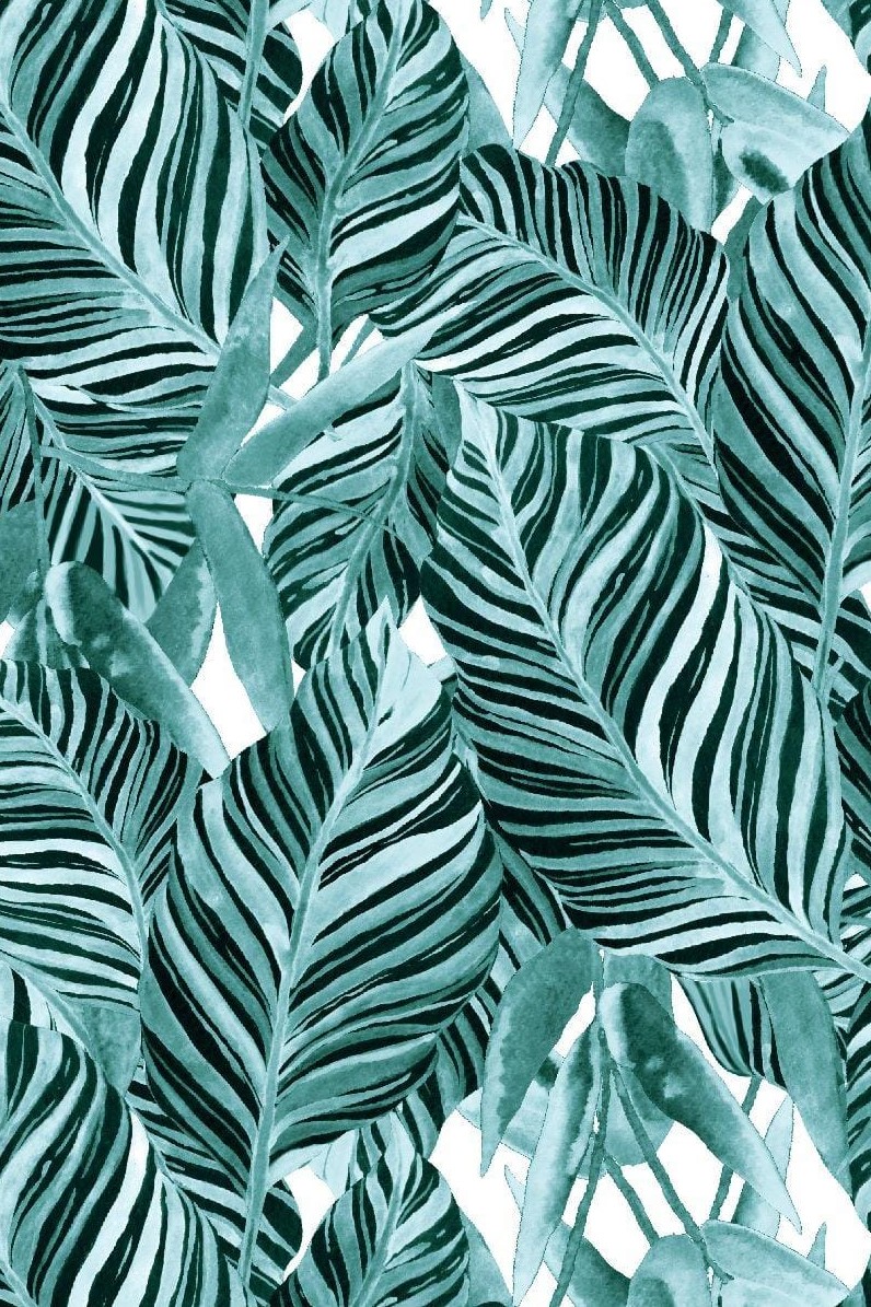 Banana leaves kupon 1,3 m