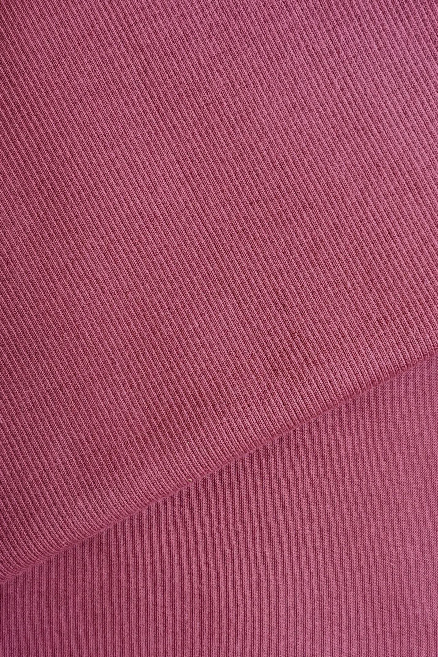 Jersey JAGODA - obrazek 3