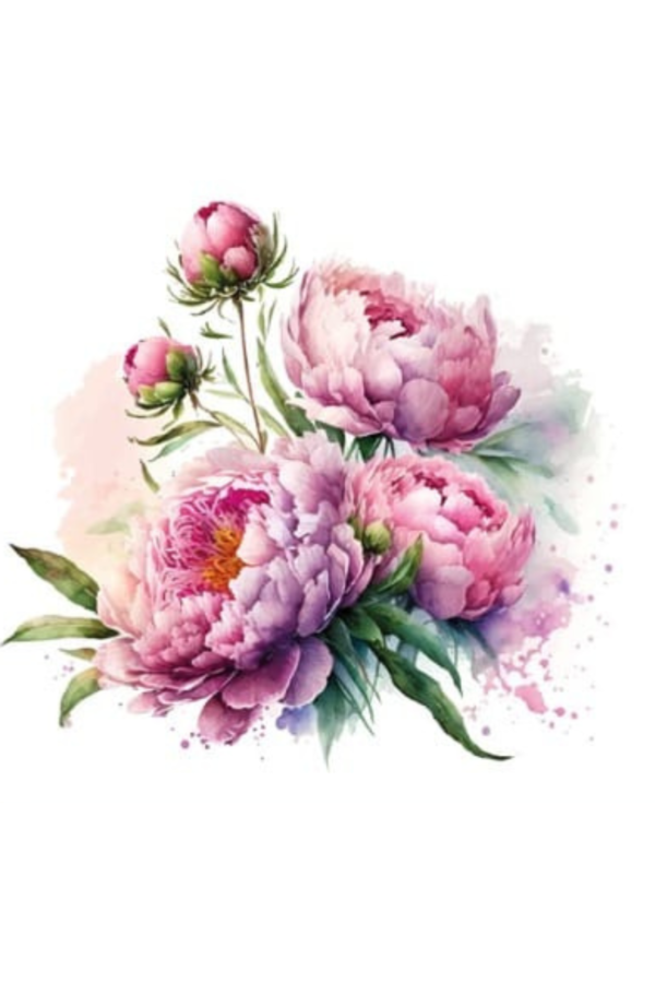 Panel Rose Peonies BS