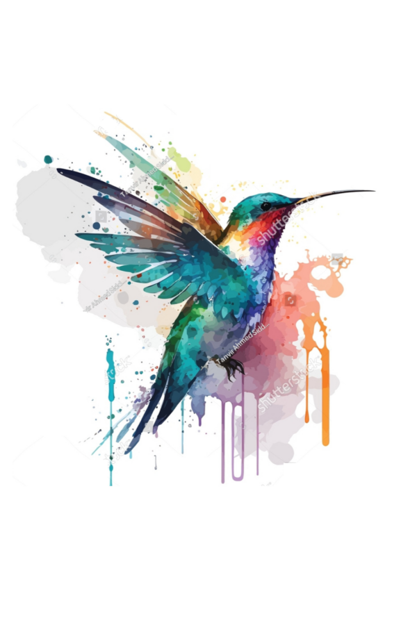 Panel Hummingbird BS