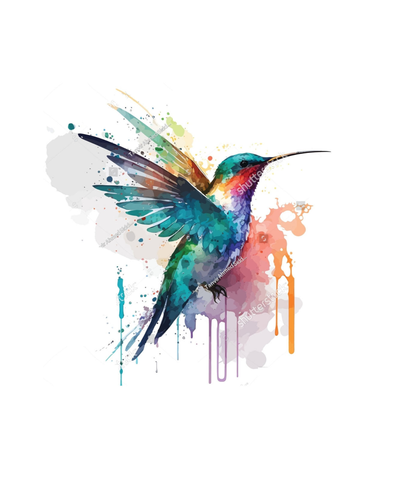 Panel Hummingbird BS