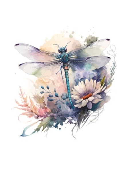 Panel Dragonfly BS