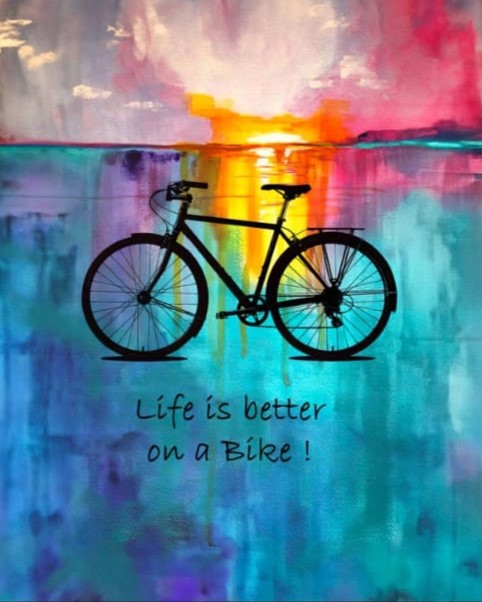 Panel Life on a bike BS