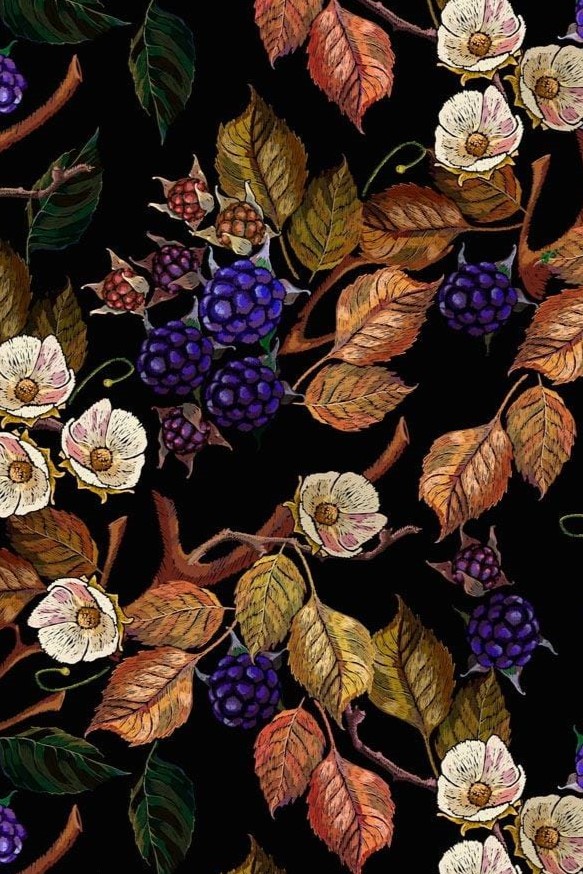 Blackberries
