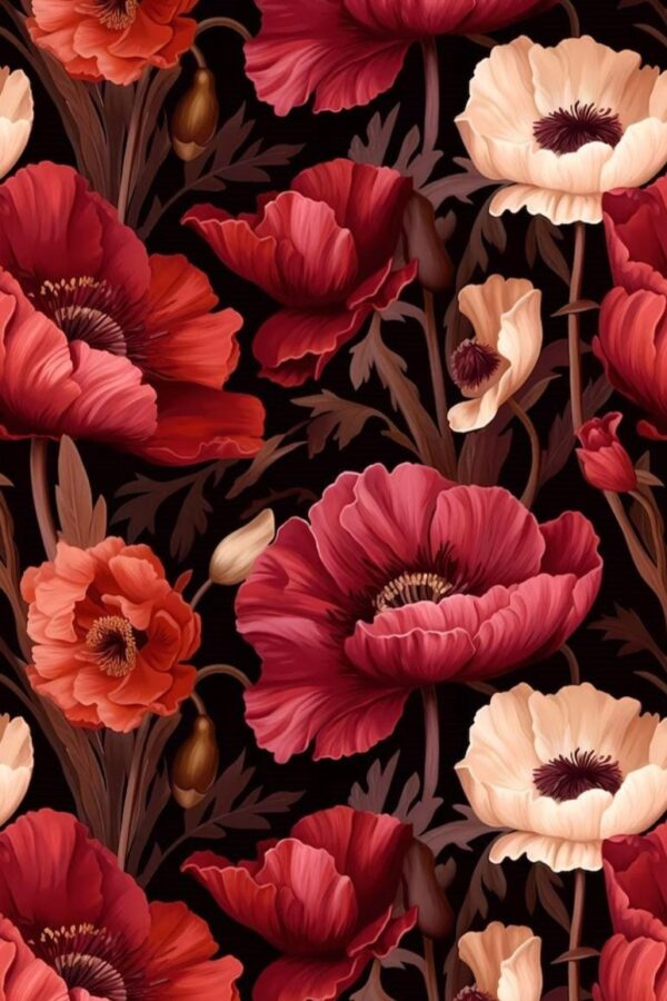 Poppies by night