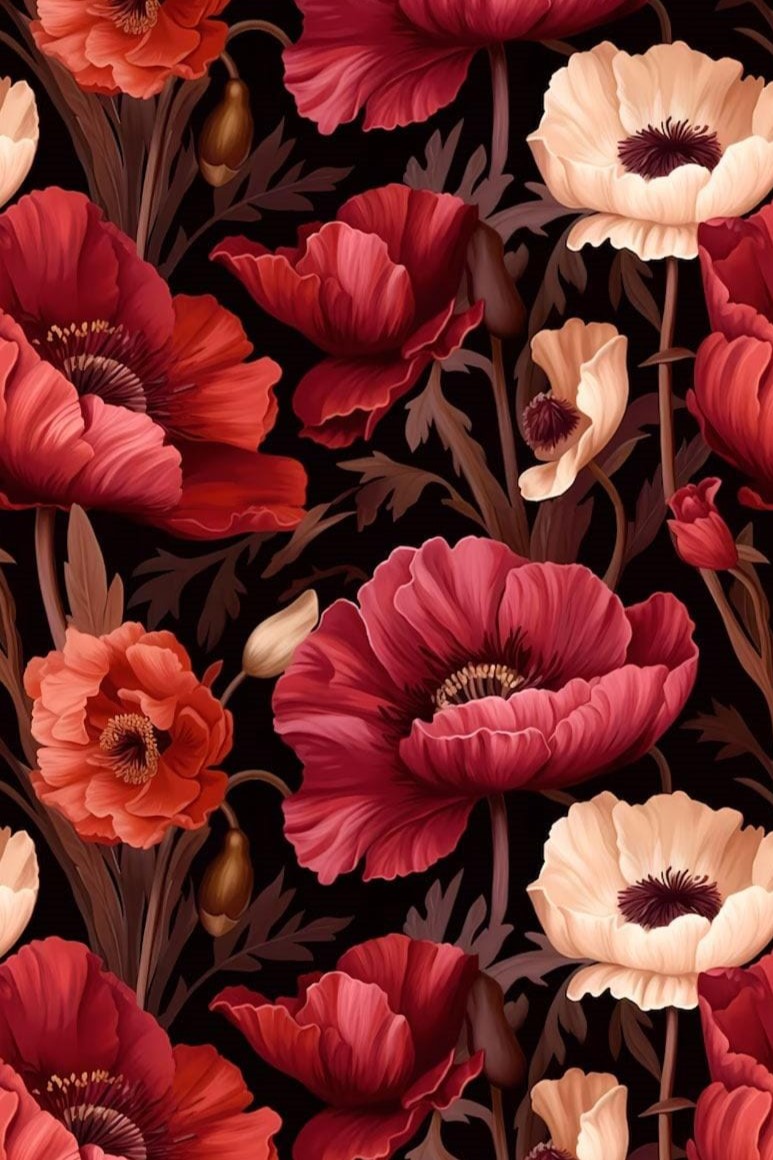 Poppies by night