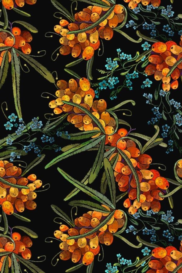 Sea buckthorn berries and blue flowers